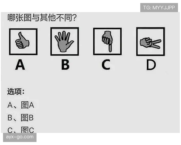 篮球边线发球规则全解析，看完就懂正确发球姿势