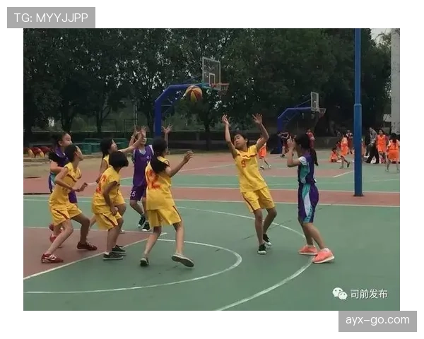 篮球规则解析：比赛中身体接触容忍度的判定标准是什么？